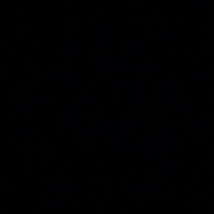 Meet your Posher, Sophia